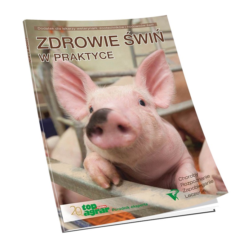 Zdrowie świń w praktyce