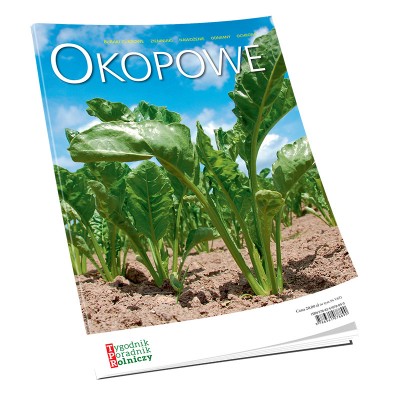 Okopowe – buraki cukrowe,...