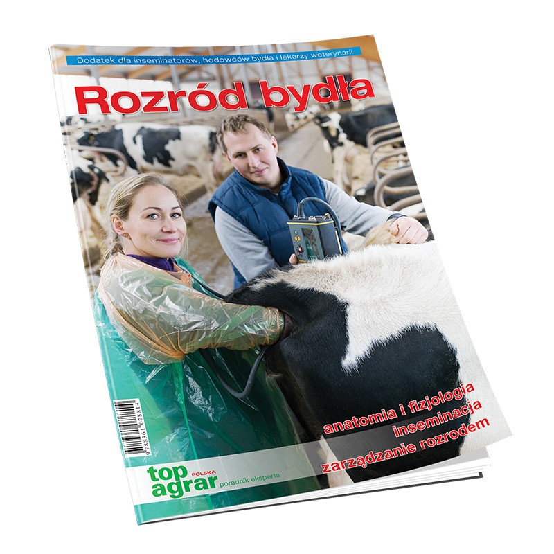 ROZRÓD BYDŁA