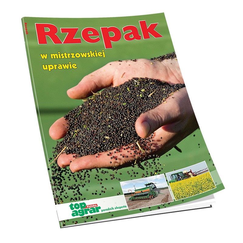 Rzepak w mistrzowskiej uprawie