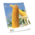 Kukurydza – nawożenie, odmiany, chwasty, ochrona