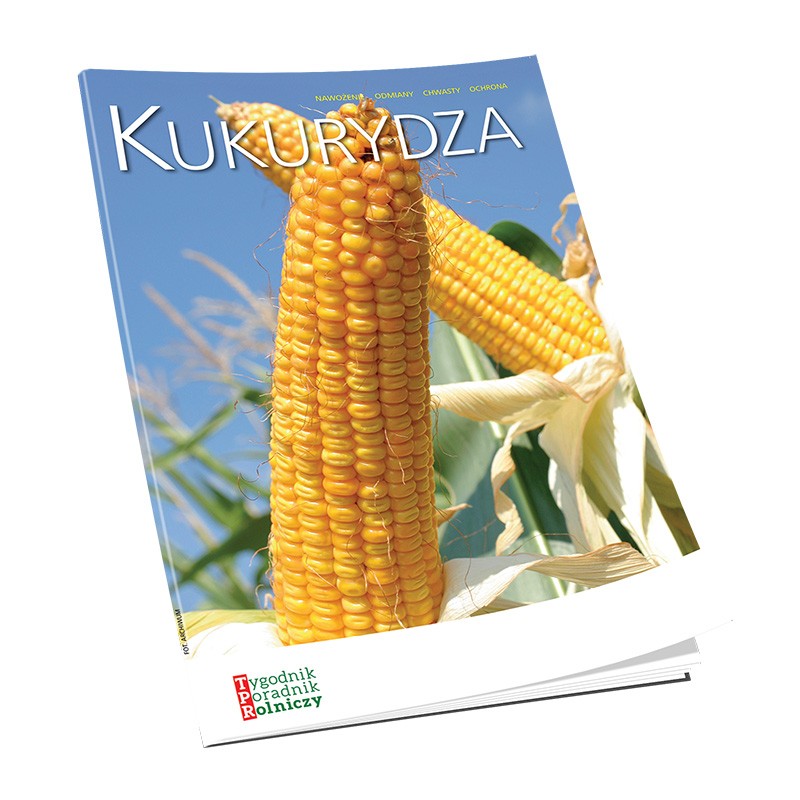 Kukurydza – nawożenie, odmiany, chwasty, ochrona