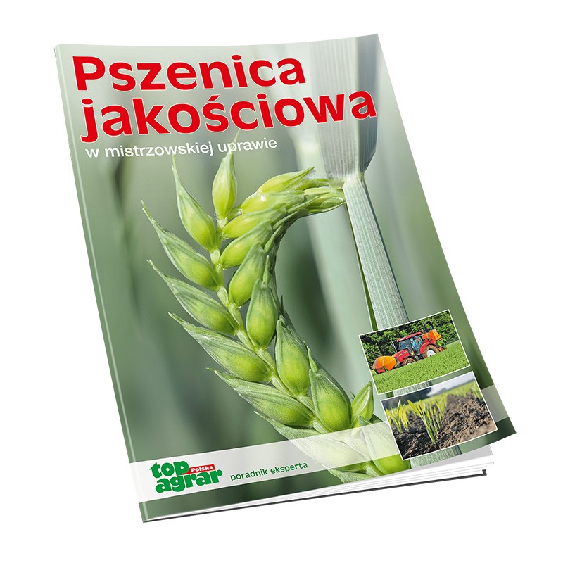 Pszenica jakościowa w mistrzowskiej uprawie