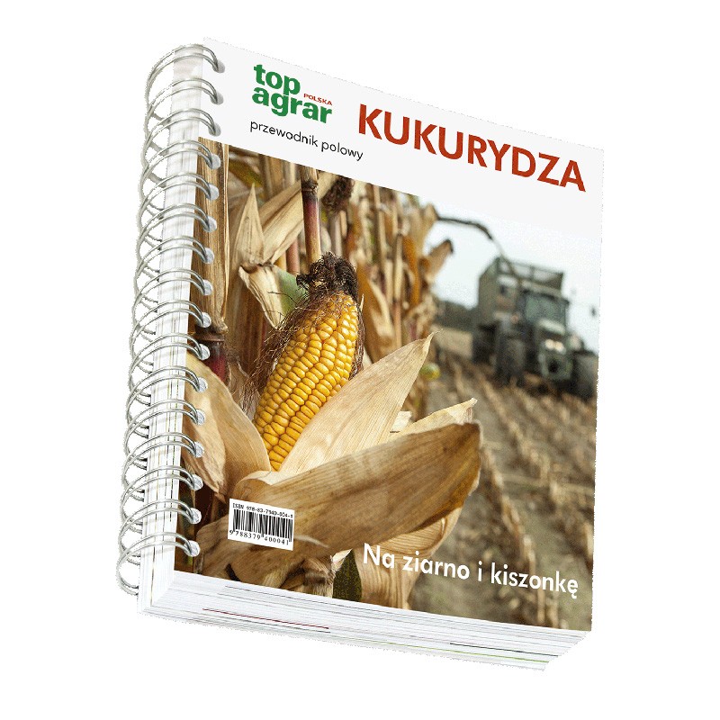 Kukurydza - przewodnik polowy