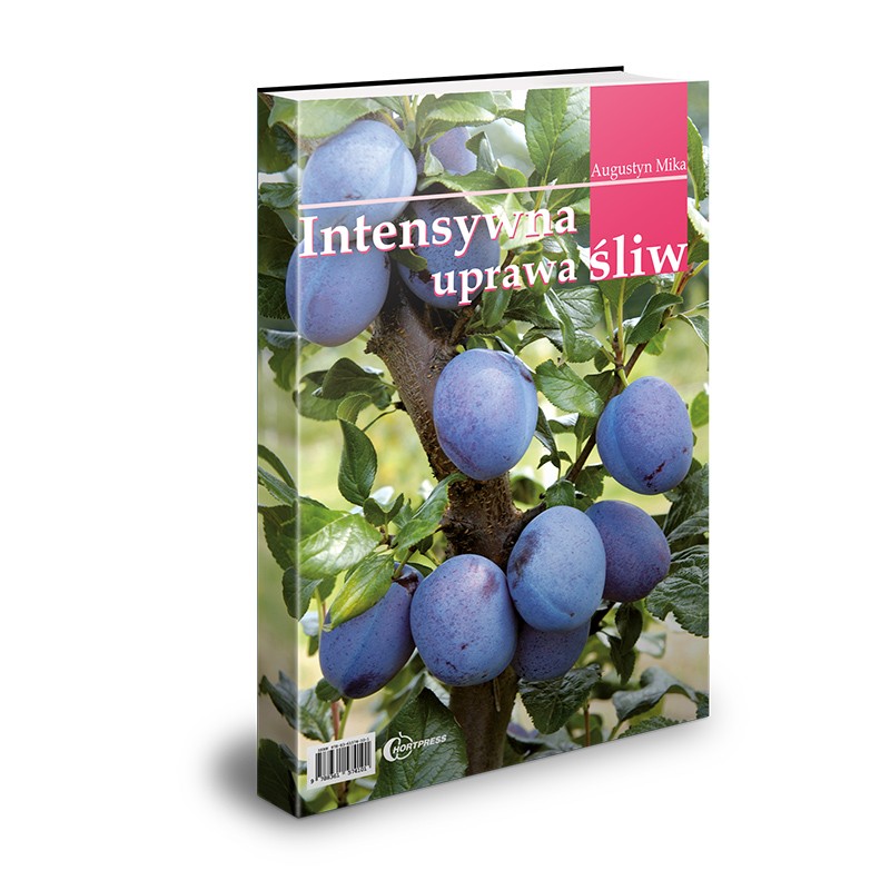 Intensywna uprawa śliw