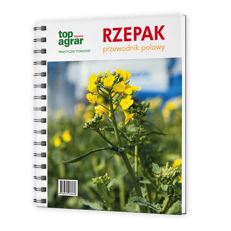 Rzepak– przewodnik polowy