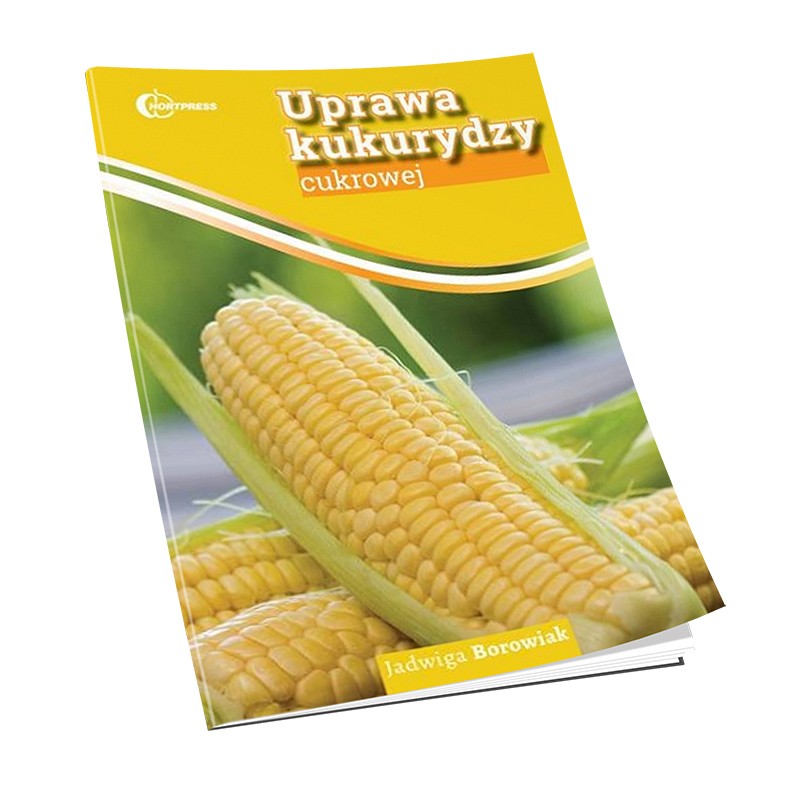 Uprawa kukurydzy cukrowej