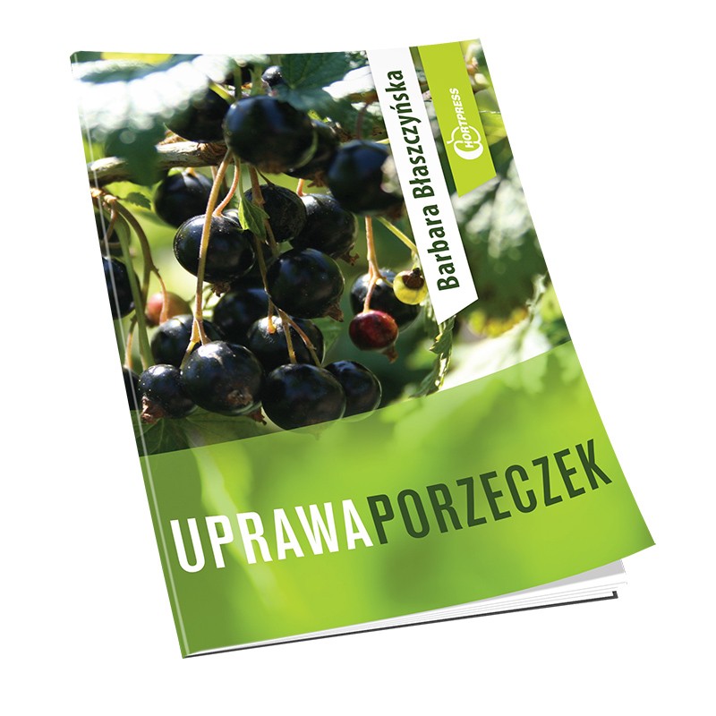 Uprawa porzeczek