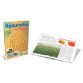 Kukurydza w mistrzowskiej uprawie