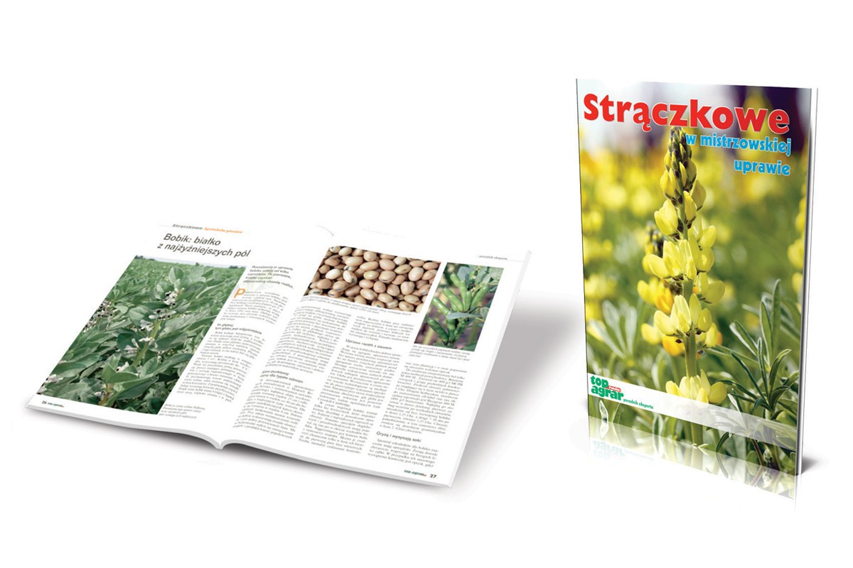 Strączkowe w mistrzowskiej uprawie