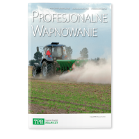 Profesjonalne wapnowanie