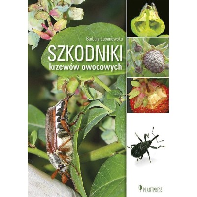 Szkodniki krzewów owocowych