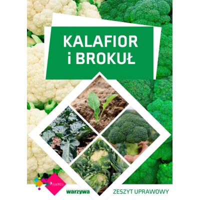 Kalafior i brokuł - zeszyt...