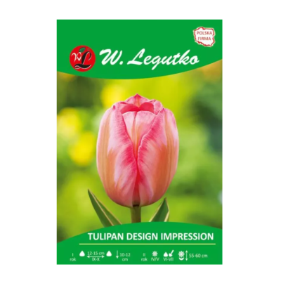 Tulipan Design Impression...