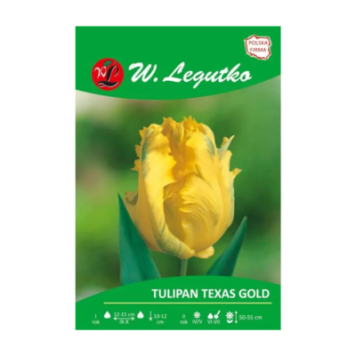 Tulipan Texas Gold Papuzi -...