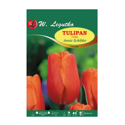 Tulipan Annie Schilder...
