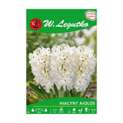 Hiacynt Aiolos biały - 2 szt.