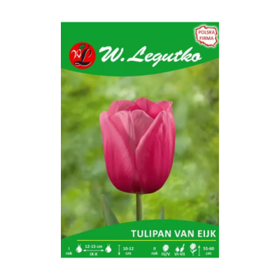 Tulipan Van Eijk mieszańce...