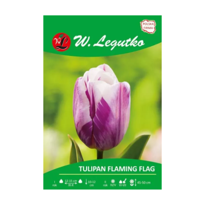 Tulipan Flaming Flag...
