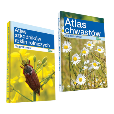 Pakiet atlasów dla praktyków