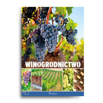 Winogrodnictwo