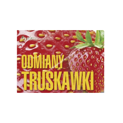 Odmiany truskawki