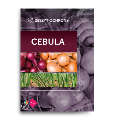 Cebula - zeszyt ochrony