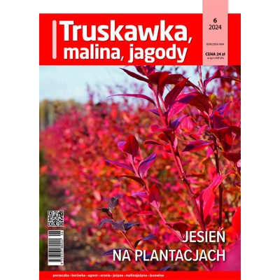 Truskawka, malina, jagody...