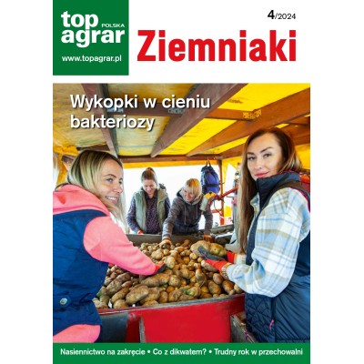 Ziemniaki – kwartalnik...