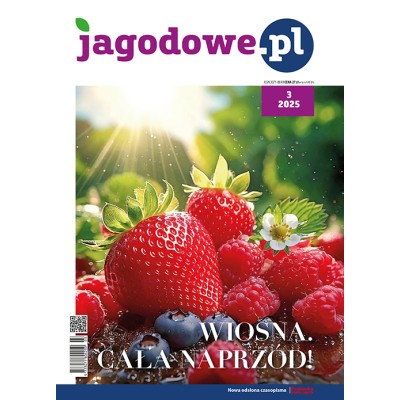 Jagodowe.pl 3/2025