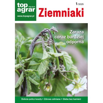 Ziemniaki – kwartalnik...