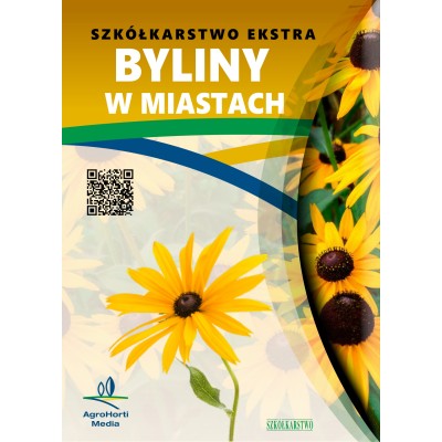 BYLINY W MIASTACH -...