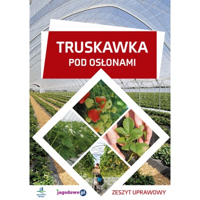 Truskawka pod oslonami -...