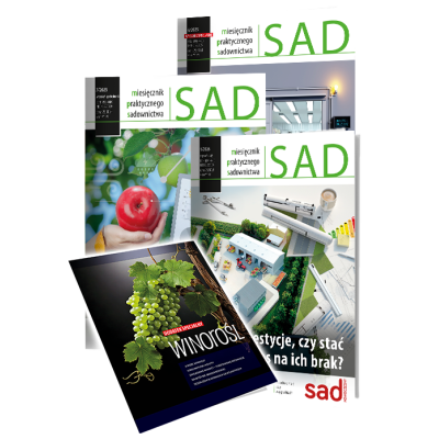 SAD Miesięcznik...