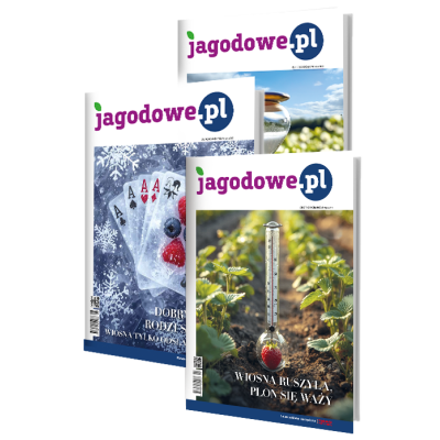 Jagodowe.pl - roczna...