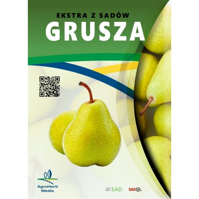 Grusza - publikacja...