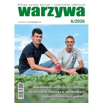 Warzywa