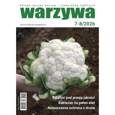 Warzywa