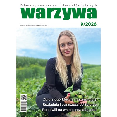 Warzywa