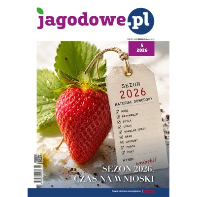 Jagodowe.pl