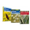 Pakiet: Atlas chwastów + Atlas szkodników + Atlas chorób