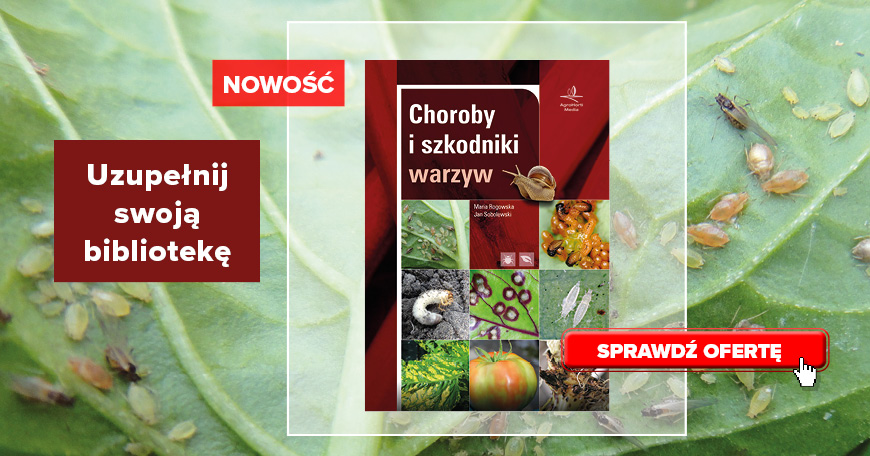 Choroby i szkodniki warzyw