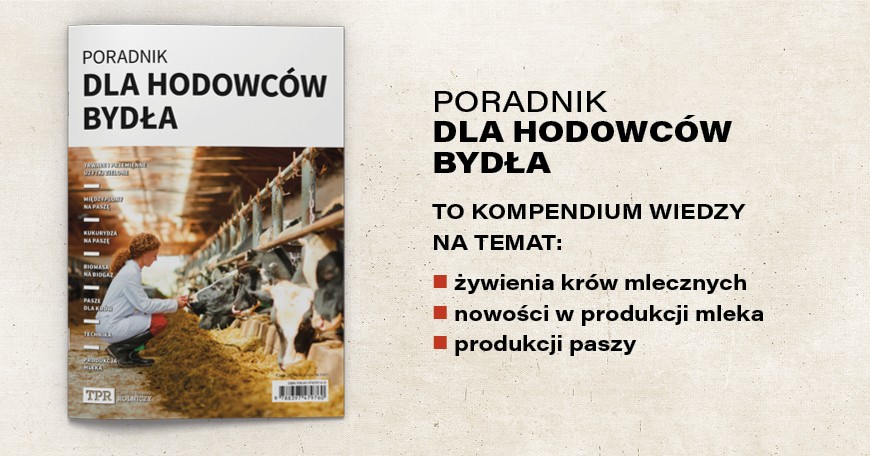 Poradnik dla hodowców bydła